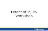 Extent of Injury Workshop v.4 · presentation and unmute all for questions •Unmute your phone/VOIP connection to ask ... specifically asked to (may be asked for a potential 3rdcertification).