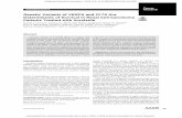 Genetic Variants of VEGFA and FLT4 Are Determinants of Survival in ... - Cancer Research · Translational Science Genetic Variants of VEGFA and FLT4 Are Determinants of Survival in