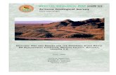 DiGitAl GeoloGic MAp DGM-65 Arizona Geological Surveyrepository.azgs.az.gov/sites/default/files/dlio/... · Arizona Geological Survey DiGitAl GeoloGic MAp DGM-65 GeoloGic Map and