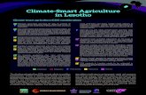 Climate-Smart Agriculture in Lesotho...climate-smart agriculture itself is fairly new and has not been integrated into Lesotho’s policies and programs. In addition, the country’s