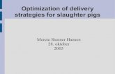 Optimization of delivery strategies for slaughter pigs · Single pig registration – In order to get maximal effect of weighing equipment. Weekly registration of feed efficiency