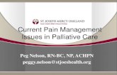 Current Pain Management Issues in Palliative Care...in patient care. •Provide 24-hour pain, palliative and spiritual support for patients and their families. •Provide team members