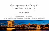 Management of septic cardiomyopathy - Atimures · Sepsis induced cardiac dysfuntion • Leads to significantly higher mortality • Understanding of the complex mechanism leads to