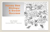 Honey Bee Biology: A Sweet Successbeesforbabar.org/pdf/honeybee_biology_slide_show.pdfHoney Bee Races Race Italian (Starline, Cordovan) Carniolan Caucasian (Russian) German Black Africanized