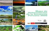Mapa de Deforestación de la Amazonía Peruana 2000 - MINAM › Documents › Publications › Virtual... · 4 Mapa de Deforestación de la Amazonía Peruana 2000 - MINAM A l Instituto