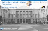 SAP Business Analytics Platform @nemeryp nemeryphilippesapevents.be/GID/presentations/11h50 - Management...ERP: SAP Business Suite and other ERPs Unstructured data in OLAP Cubes Social