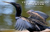 The Audubon Observer - Duval Audubon Society · studying the ecology and life history at J. N. “Ding” Darling National Wildlife Refuge since 2012. 3. Field Trips. Saturday, December