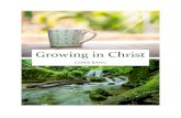 Growing in Christ - Chris Kang€¦ · ELEVEN Growing in Christ 46 References 51 About the Author 55 . 1 Foreword These initial reflections, drawn from Chris' encounter and personal