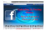 Uploading & Posting Photosseniorsonlinetoday.com/wp-content/uploads/2012/07/5-How-to-uploa… · Uploading and Creating An Album Author: John Melville Subject: Facebook Keywords: