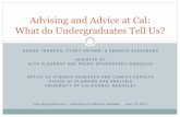 Advising and Advice at Cal: What do Undergraduates Tell Us? · Advising is a crucial component of a student’s experience in higher education (Gordon & Habley, 2000; Habley, 2004).