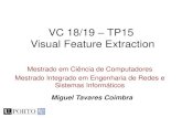 VC 18/19 TP15 Visual Feature Extraction - DCCmcoimbra/lectures/VC_18... · VC 18/19 - TP15 - Visual Feature Extraction How to quantify visual features? –Many possibilities! –We
