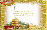 2016 Gift Brochure MERRY CHRISTMAS HAPPY …2016 Gift Brochure MERRY CHRISTMAS & HAPPY NEW YEAR Created By: Pamela Miller Garrett 2016 TimeWise Miracle Set - $95 Normal/Dry or Combination/Oily