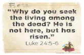 Why do you seek the living among the dead? He is not here ...€¦ · Key Passage (KJV) Kids Unit 8 © 2015 LifeWay OK to Print Why seek ye the living among the dead? He is not here,