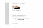 CURRICULUM VITAE · 2016-09-21 · Curriculum Vitae Yves Bergeron 3 EXPERIENCES DE TRAVAIL 1988-1991 Conservateur des collections ethnographiques à Parcs Canada, Québec, service