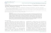Research Paper Hyperhomocysteinemia Exacerbates Cisplatin ... › v13p0219.pdf · (SAM) and S-adenosylhomocysteine (SAH) as intermediates. Once synthesized, Hcy can be remethylated