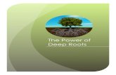 The Power of Deep Roots - Awake Nations...direct result of them having deep roots. As we are established and rooted in Him, we will manifest an abundance of fruit for His glory even