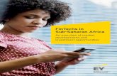 FinTechs in Sub-Saharan Africa - Holland FinTech · Fintech sector can not only yield substantial returns, but also provide significant benefits to the population. 0 50 100 150 200