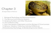 Chapter 3mrsyopsychology.weebly.com/.../3/1/...body_student.pdf · - Natural, opiate like neurotransmitters - Linked to pain control and to pleasure Dopamine - Inﬂuences movement,