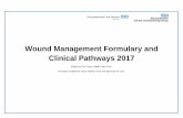 Wound Management Formulary and Clinical Pathways 2017 Wound... · Wound Management Formulary and Clinical Pathways 2017 ... prepare wound for VAC therapy refer to TV team for specialist