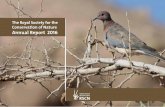 Annual report En 2016 - RSCN report En 2016.pdfAnnual Report 2016. 1 Governance and leadership of the Royal Society for the Conservation of Nature (RSCN) ... (2015 - 2019) Mr. Khaled