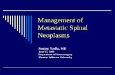 Management of Metastatic Spinal Neoplasms · 2018-11-20 · Radiation resistant tumors Low tolerance of spinal cord to XRT Mets progress or recur Radiation Induced Myelitis Tolerance