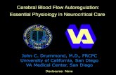 Cerebral Blood Flow Autoregulation: Essential Physiology ... · Cerebral circulation and metabolism after severe traumatic brain injury: The elusive role of ischemia ( 23 ± 5 )"