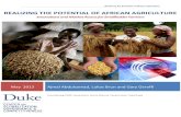 REALIZING THE POTENTIAL OF AFRICAN AGRICULTURE...organizational and institutional innovations. The existing inter-relationship has further strengthened with the structural transformation