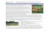 Protecting Trees and Shrubs From Deerefotg.sc.egov.usda.gov › references › public › ND › deer_fact_sheet.pdf · Many of the trees and shrubs planted in North Dakota are damaged