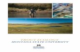 TROUT ECOLOGY MONTANA STATE UNIVERSITY Ecology And...o Species Ecology and Management • Conserving native trout, invasive species and disease threats, ecology of macroinvertebrates