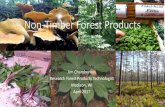 Non-Timber Forest Products - NCASI · 2019-12-11 · Non-Timber Forest Products Jim Chamberlain Research Forest Products Technologist Madison, WI April 2017. All U.S. 440,213,467