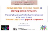 Heterogeneous collective motion or moving pattern pattern ...doursat.free.fr/docs/Doursat_2010_devo_DySCo_slides.pdf · dynamics: behavior and activity of a system over time. multitude,