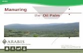 Manuring the Oil Palm...Econ Importance of Manuring Oil Palm Importance of OPTIMAL Manuring of Oil Palm: –fertilizers account for 40-50% of field cost of producing FFB's (or 20-25%