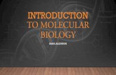 Introduction to molecular biologyfac.ksu.edu.sa/sites/default/files/lab1_30.pdf · MOLECULAR BIOLOGY •Molecular biology is the study of biology at a molecular level. The field overlaps