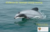 Evidence for Taranaki mining hearing - EPA · • Vaquita –Gulf of California harbour porpoise –30 individuals –Mexico implemented full protection in 2015 –Extending the protected