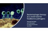 Bacteriophage therapy as anovel tool for foodborne pathogens€¦ · Foodborne pathogens •Foodborne Disease Burden Epidemiology Reference Group (FERG) established by World Health