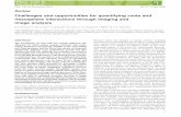 Challenges and opportunities for quantifying roots and ... · Challenges and opportunities for quantifying roots and rhizosphere interactions through imaging and ... School of Earth,Atmospheric