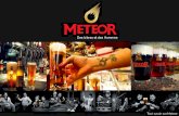 Présentation PowerPoint - brasserie Meteor · 2017-02-21 · METEOR, entre dans son histoire. Brasseur à Ingwiller, Louis Haag épouse la fille des propriétaires : Louise Metzger.
