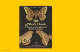 W. J Holland,The Moth Book: A Popular Guide to a Knowledge ... › friendsebec › Moth Nights... · SUGARING FOR MOTHS The day has been hot and sultry. The sun has set behind great