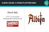 David Salz · ALBION ONLINE: A CROSS-PLATFORM MMO David Salz CTO / Co-Founder david@sandbox-interactive.com