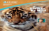 Saving the Majestic Tiger Born to Be Wild...Born to BeWild Animal Action Education Saving the Majestic Tiger Born to Be Wild “Wild tigers are in trouble. Together, we can save them.”