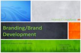 Branding/Brand Development - Reizendreizendconsultants.com/Branding/images/Branding.pdf · website would visually look like how the client wanted it to be. We add in our brilli ant