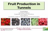Fruit Production in Tunnels - Center for Agricultural and Rural …cars.uark.edu/ourwork/Specialty-Crop-Production-and... · 2015-03-16 · Not without Problems • Management of