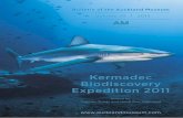 ...Annotated checklist of the marine flora and fauna of the Kermadec Islands Marine Reserve and northern Kermadec Ridge, New Zealand Clinton A.J. Duffy Department of Conservation &