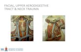 AERODIGESTIVE TRACT TRAUMA - wickUPwickup.weebly.com/uploads/1/0/3/6/10368008/aerodigestive_tract_tr… · • Maxillo-facial trauma • Neck trauma (blunt/penetrating) • Laryngeal