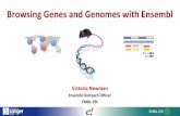 Browsing Genes and Genomes with Ensembl › training › online › sites › ebi.ac.uk... · 2017-04-27 · 27th April Variation data in Ensembl and the Ensembl VEP Victoria Newman