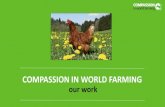 COMPASSION IN WORLD FARMING · Ending factory farming, promote reduction in production and consumption of animal products, promote plant-rich diets Method of production labels Our