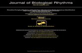 Journal of Biological Rhythms - Chittka Lab - Homechittkalab.sbcs.qmul.ac.uk/2010/Stelzer_et_al_2010_JBiolRhythm.pdf · 258 JOURNAL OF BIOLOGICAL RHYTHMS / August 2010 2000). The