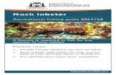 Rock lobster - Home | GETAWAY OUTDOORS · Rock lobster. A licence is required to fish for any species of rock lobster. Please note: • Female setose lobsters can now be taken. •