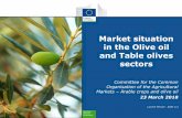 Market situation in the Olive oil and Table olives … › ficheros › doc › 05625.pdfMarket situation in the Olive oil and Table olives sectors Committee for the Common Organisation