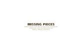 MISSING PIECES - Small Arms Survey...8 MISSING PIECES CONTRIBUTORS/REVIEWERS Missing Pieces benefited from inputs from many of the leading researchers, analysts, and advocates on small